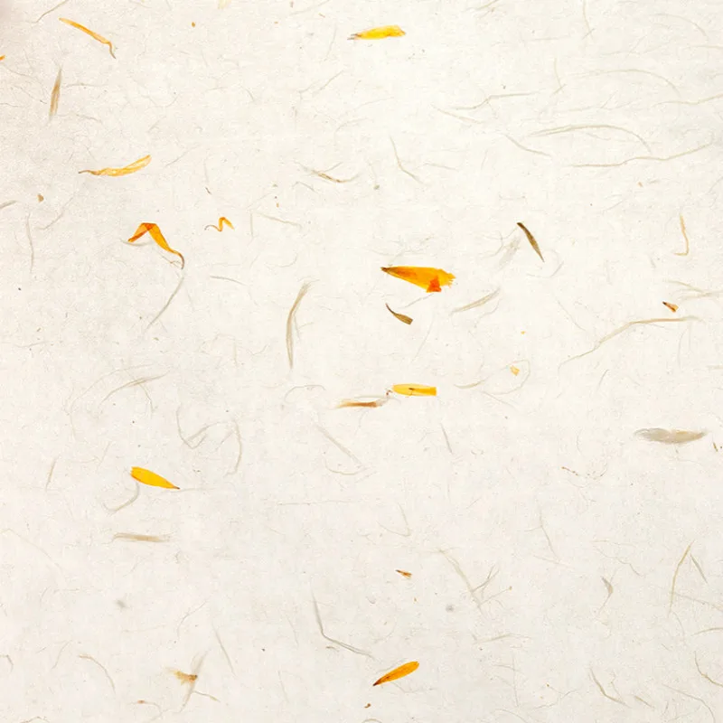 Flower Palnt Yunlong Long Fiber Xuan Paper Mulberry Paper Chinese Painting Calligraphy Half-Ripe Rice Paper Brush Writing Papier