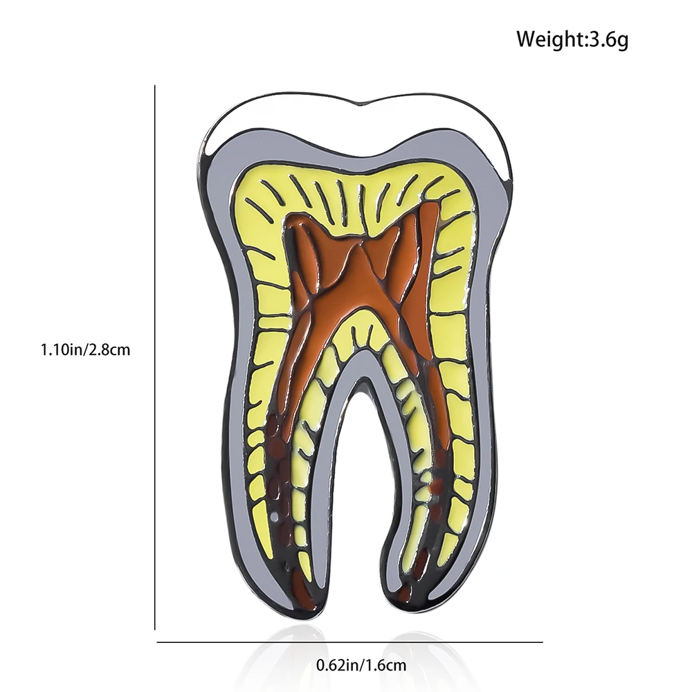 Modello dentale anatomia spilla distintivo spilla smalto ago dentale dentista accessori gioielli regalo creativo