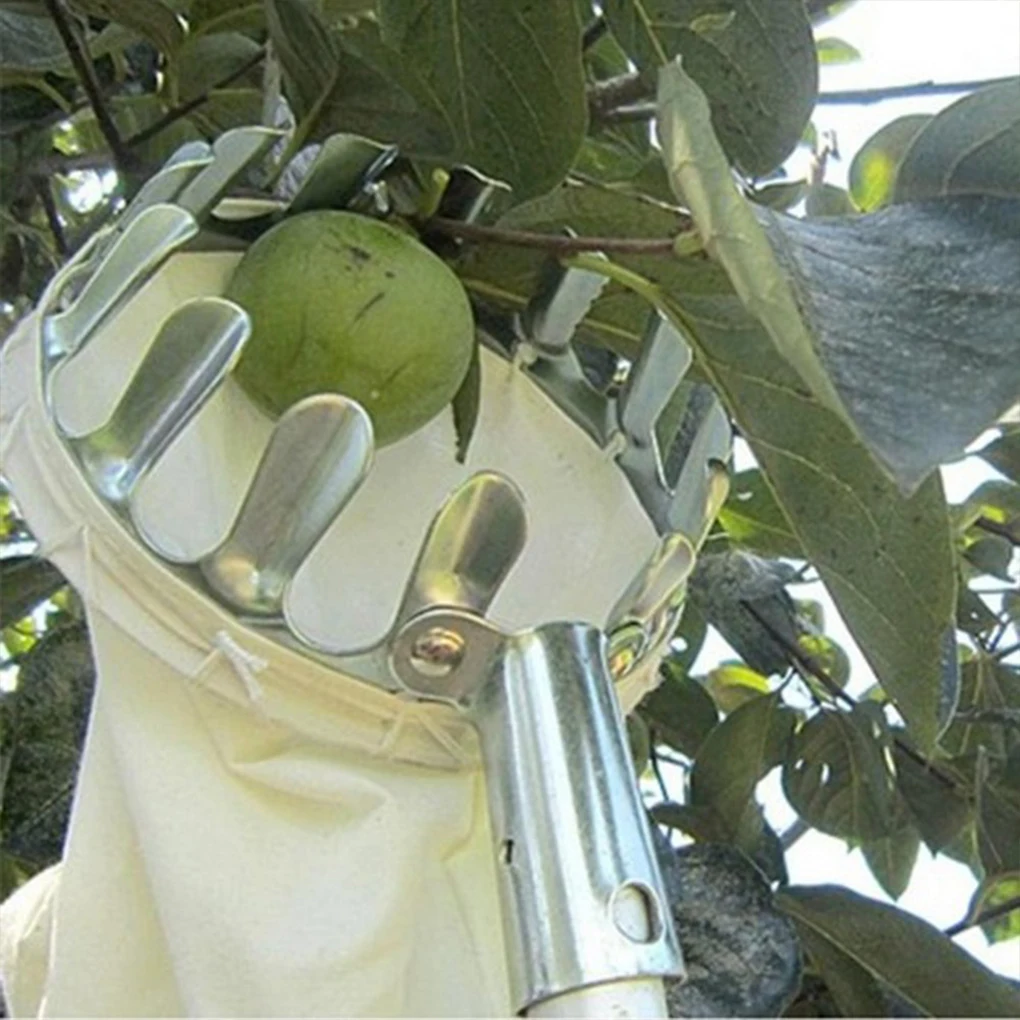 Imagem -05 - Metal Fruit Picker para Orchard High Tree Picking Tools Catcher Collection Pouch Suprimentos de Jardinagem Apple e Peach Fazenda e Jardim