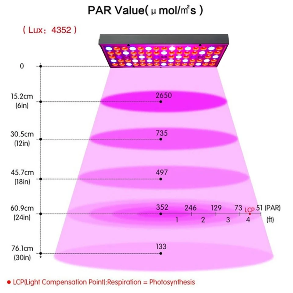 Panneau Lumineux LED pour Culture Intérieure de Plantes, Boîte à Lumière Lauren, Ampoule pour Serre, Semis de Fleurs