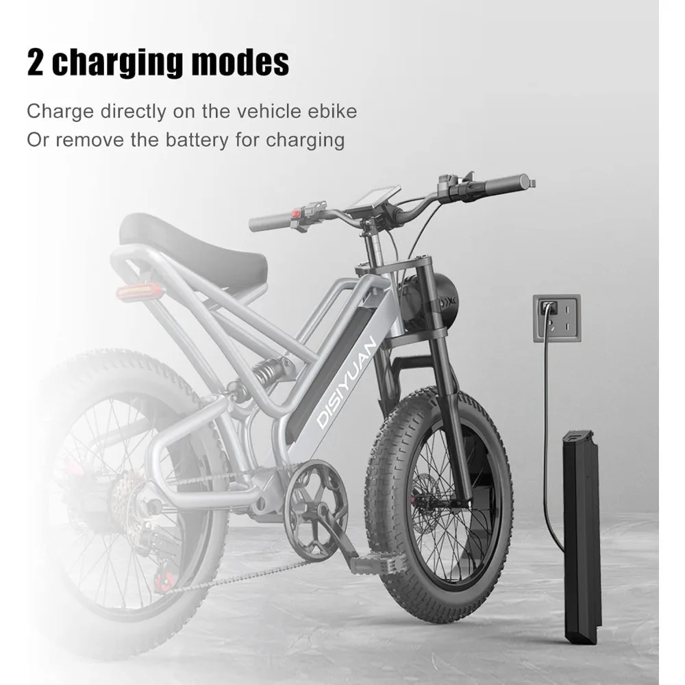 アメリカ倉庫 48V 電動自転車バッテリー 25Ah リチウムイオンバッテリーパック 交換用 Reention Dorado Plus 電動自転車 500W 750W 1000W モーター