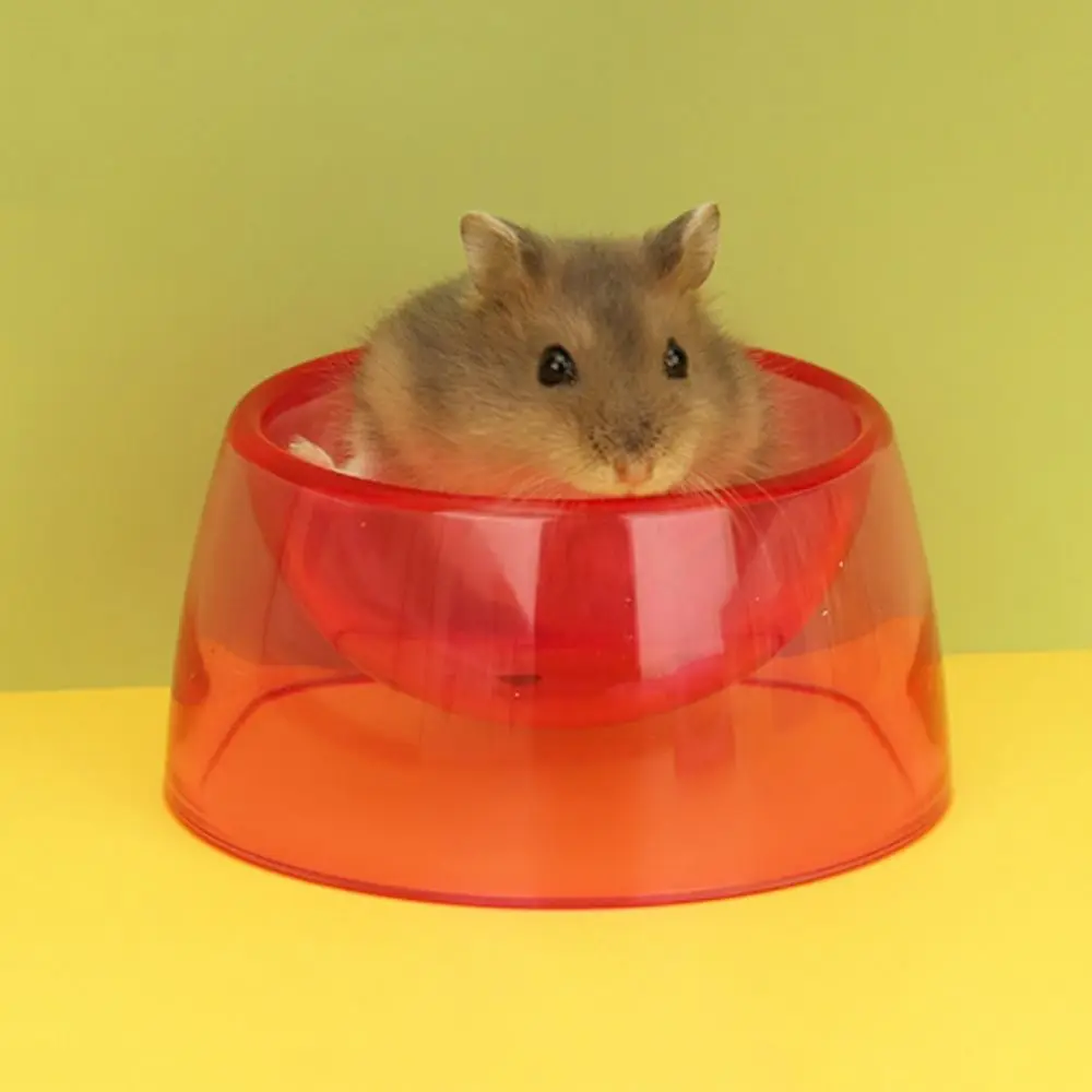 Bite Resistant Hamster Food Basin Non-slip Plastic Hamster Water Bowl Transparent Rat Food Water Dish