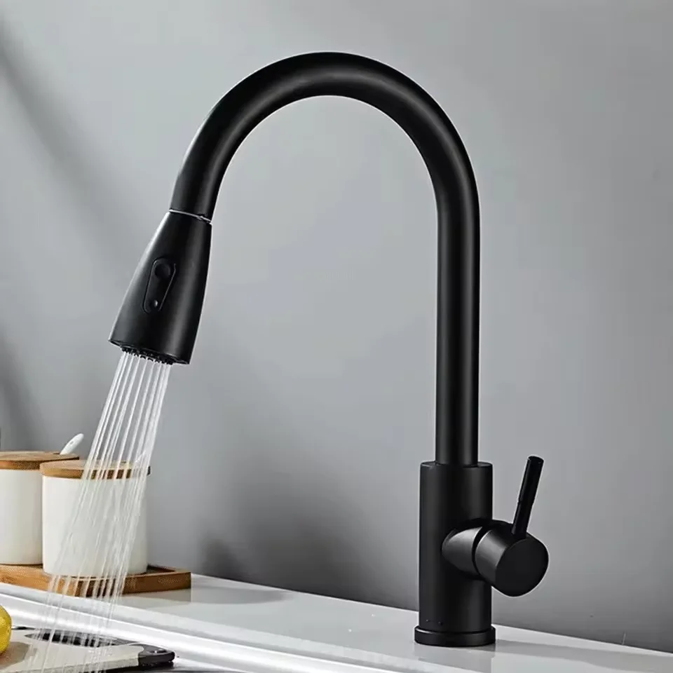 Modern Stainless Steel Pull-Out Kitchen Faucet - Sleek Design with Dual Water Outlets, 360° Rotatable & Retractable, Hot & Cold