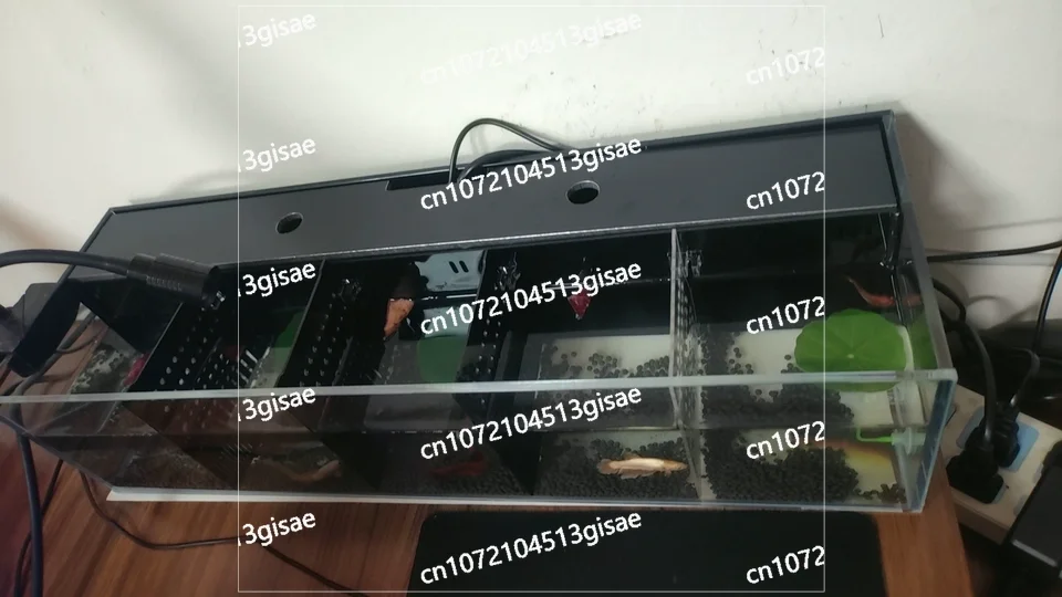 aquarium-en-verre-autonettoyant-avec-filtre-integre-pour-petit-echange-d'eau-ecologique-aquarium-a-separation-modulaire-multi-format