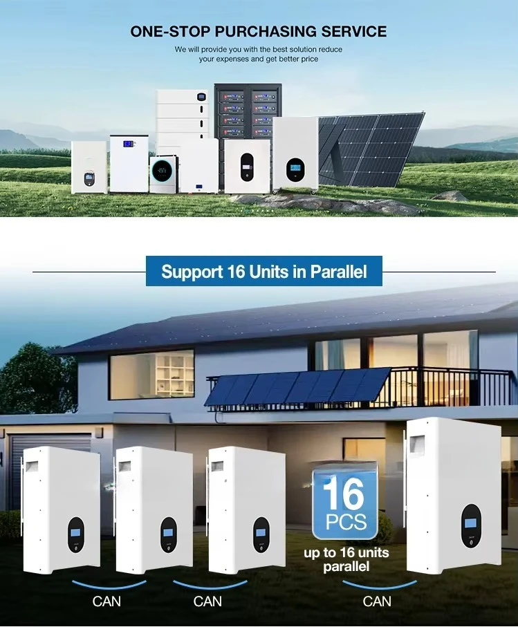 48V 51.2V 5kWh 10KWh 15kWh 16kWh بطارية ليثيوم Home LiFePO4 100Ah 200Ah 280Ah 304Ah 314Ah بطارية تخزين الطاقة الشمسية