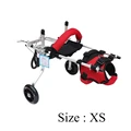 XS