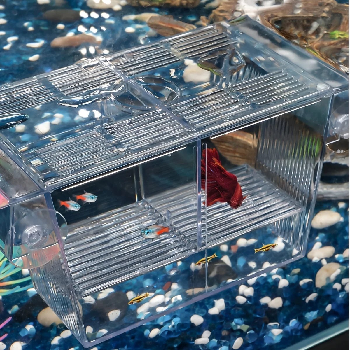 Fish breeding box, acrylic fish isolation box, with suction cups, aquarium incubator, suitable for baby fish, shrimp, clownfish,