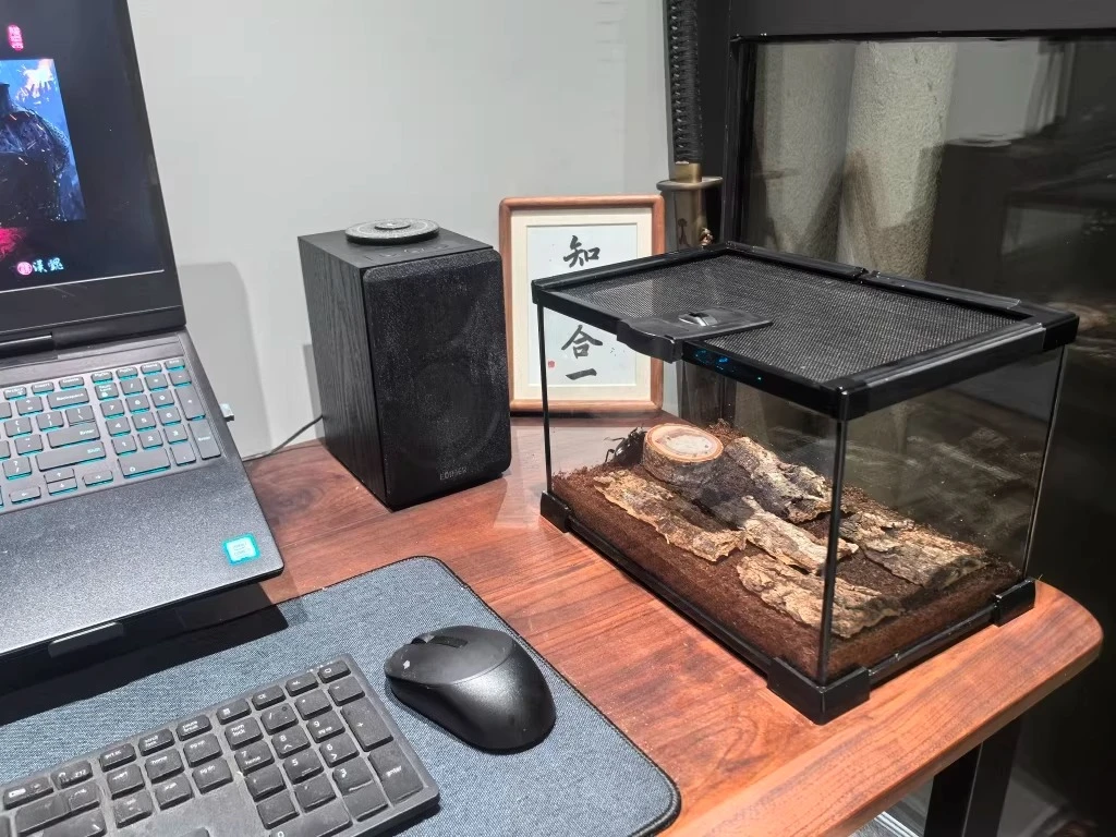 Amphibious ultra-white glass climbing pet tank transparent ecological tank feeding box rainforest