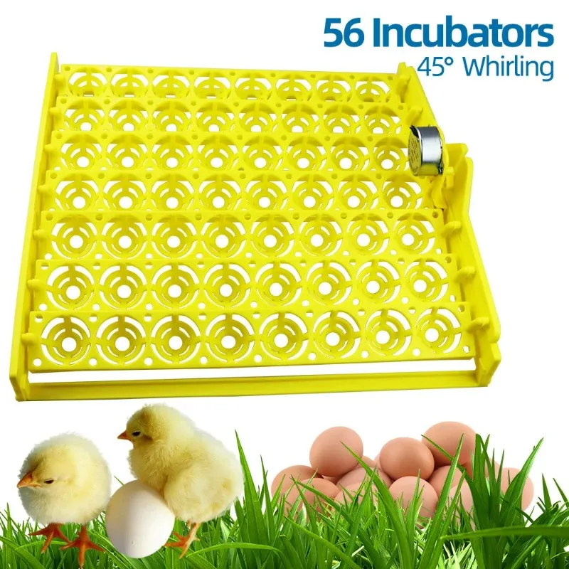 

Customizable 56 Eggs Incubator Eggs Automatic Incubator Incubator motor Turn Tray Poultry Incubation Equipment Farm poultry