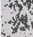 Finland 2