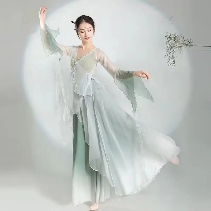 

Elegant Long Cardigan Chinese Style Folk Dance Practice Clothes Body Rhyme Gauze Outer Classical Dancer Performance Costume