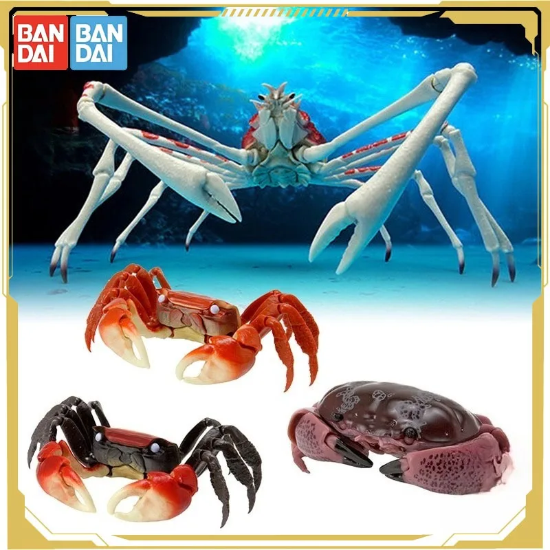 

Bandai Original Biological Atlas Anime Figure Crab 02 Red-clawed Gladiator Crab Action Figure Toys for Boys Girls Kids Gift