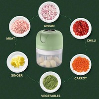 250ml Mini Electric Food Chopper Portable Meat And Vegetable Grinder Large Capacity Multi Functional Masher For Kitchen Outdoor