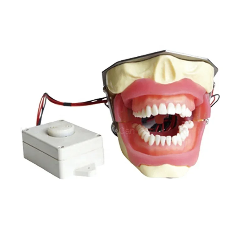 

Conduction Extraction Model With A Buzzer