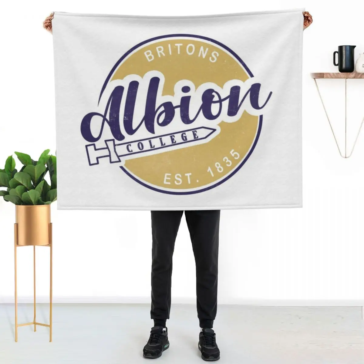 Albion College Circle Logo Throw Blanket Travel For Sofa Thin Bed linens Personalized Gift Decorative Sofa Luxury Throw Blankets
