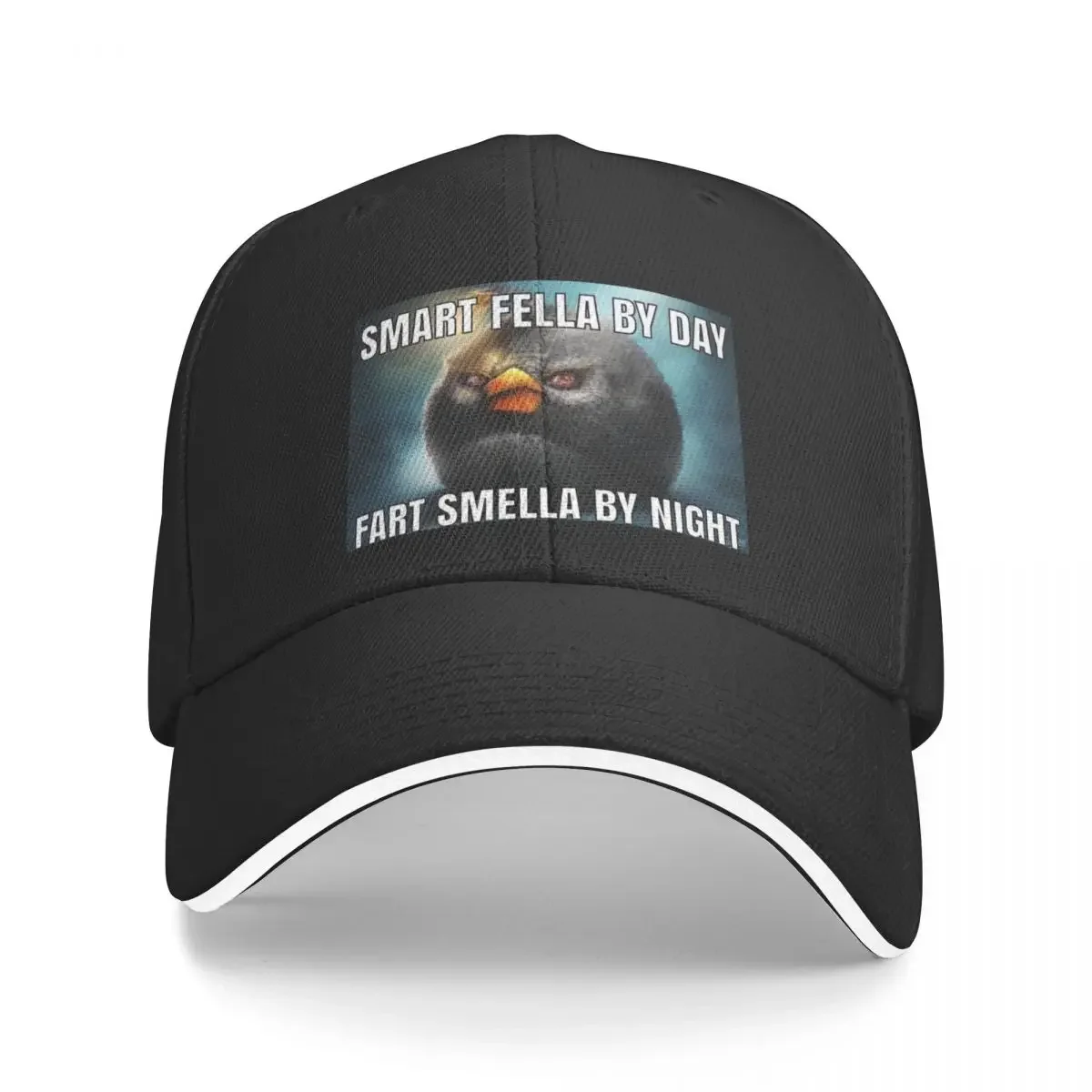 

smart fella by day fart smella by night Baseball Cap Christmas Hat Big Size Hat Mens Tennis Women's