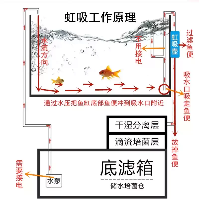 Automatic circulation system for aquarium bottom filtration and waste collection - no drill fish toilet siphon filter