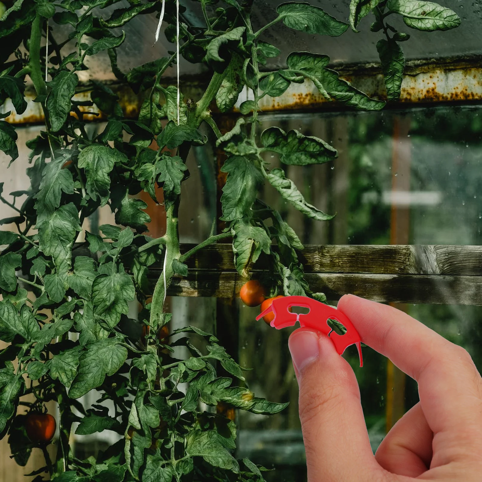 

100pcs Reinforced Branch Clamp Durable Plant Growth Clip For Indoor Outdoor Use Twig Bender Sturdy Plant Training Tool