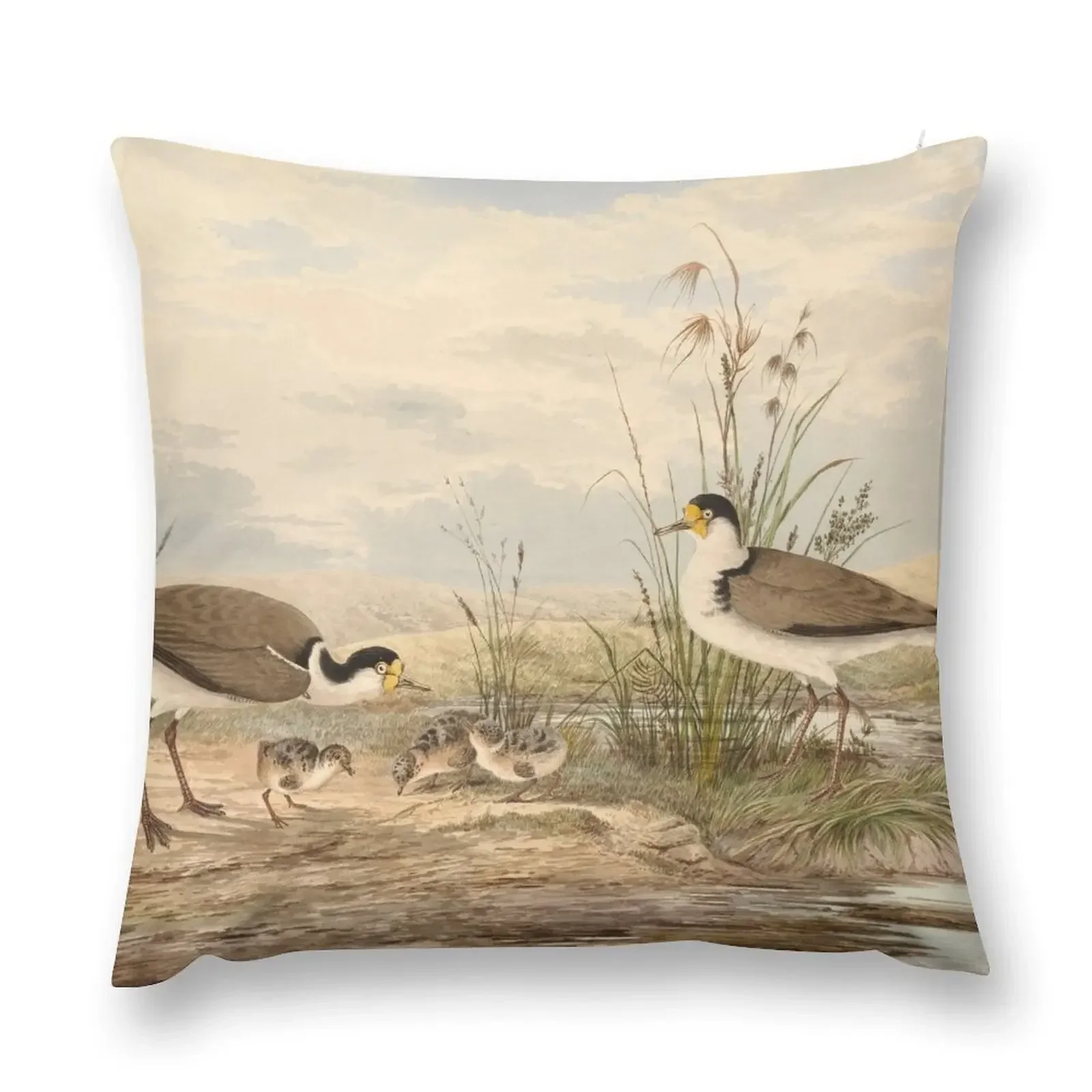 

Neville HP Cayley Masked Lapwing, Vanellus miles Throw Pillow luxury home accessories christmas supplies New year pillow