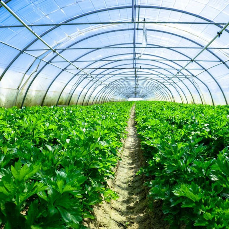 Plant Growth Regulator Atonik Sodium 5-Nitroguaiacolate Natrium Nitropenolate Salt Plant Fertilizer