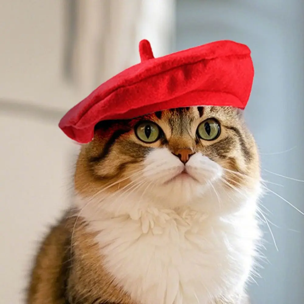 الإبداعية لطيف القط قبعة بيريه أحمر أسود المألوف القط واقية من الشمس قبعة مريحة للتنفس القط الكلب قبعات للكلاب القط #5