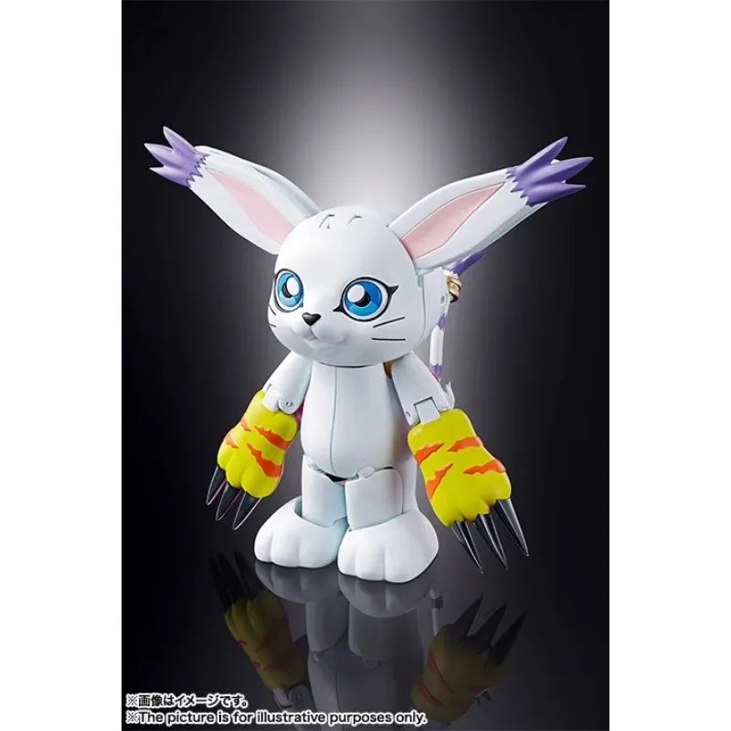 Bandai Genuine Digimon Adventure Anime Figure Angewomon Action Figure Toys for Boys Girls Kids Christmas Gift Collectible Model