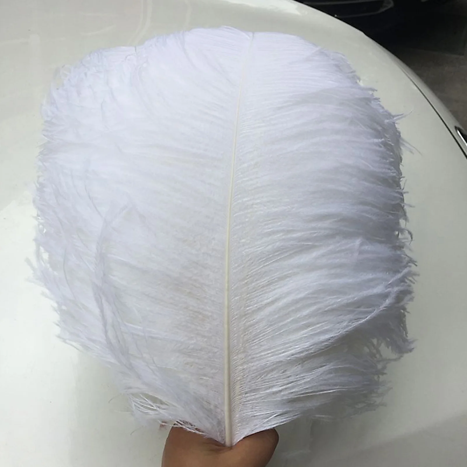 10pcs For Crafts Ostrich Feather Feathers Home Decoration Sewing Clothes Plumes Indoor Outdoor DIY Stage Performance Prop Plume