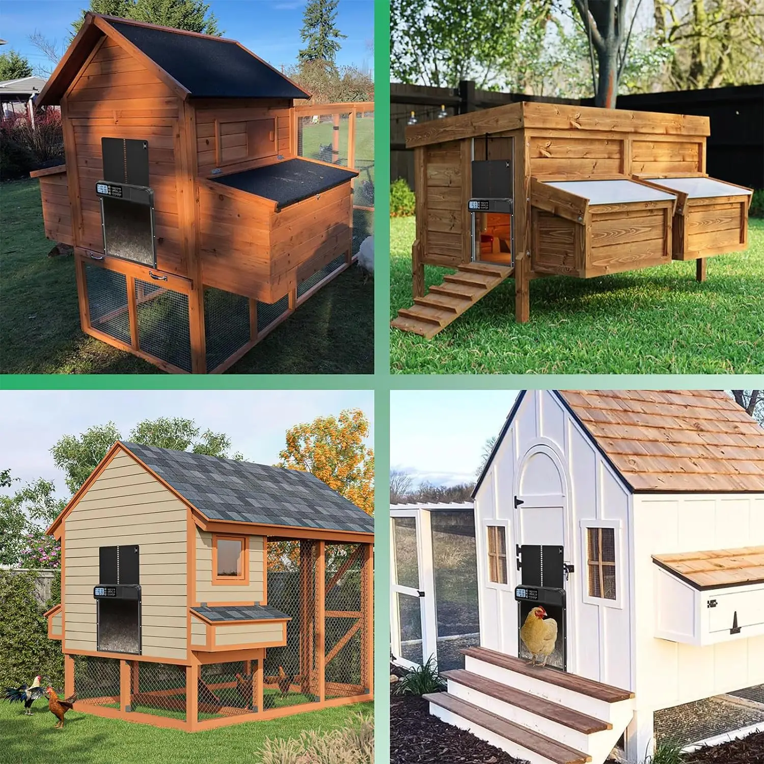 건전지 알루미늄 자동 닭장 문, 방수 디스플레이 타이머 및 지능형 핀치 방지 기능 탑재