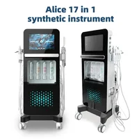 Vente en gros 17 en 1 Hydro Facial Aqua Peel Face Lift diamant Dermobrasion soins de la peau oxygène Jet d'eau Spa Machine 2