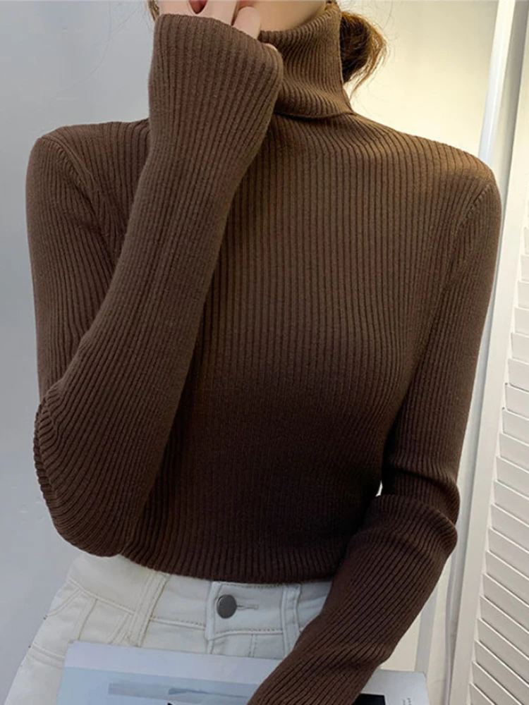 New 2026 Women Pullover Turtleneck Sweater Autumn Winter Long Sleeve Slim Elastic Korean Simple Basic Jumper Solid Color Top