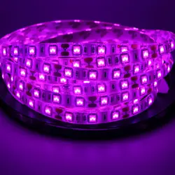 DC 12V SMD Chip 5050 Pink 60leds/m 300 LED-Streifen Licht wasserdicht und nicht wasserdicht flexible Bandst reifen 1m-5m