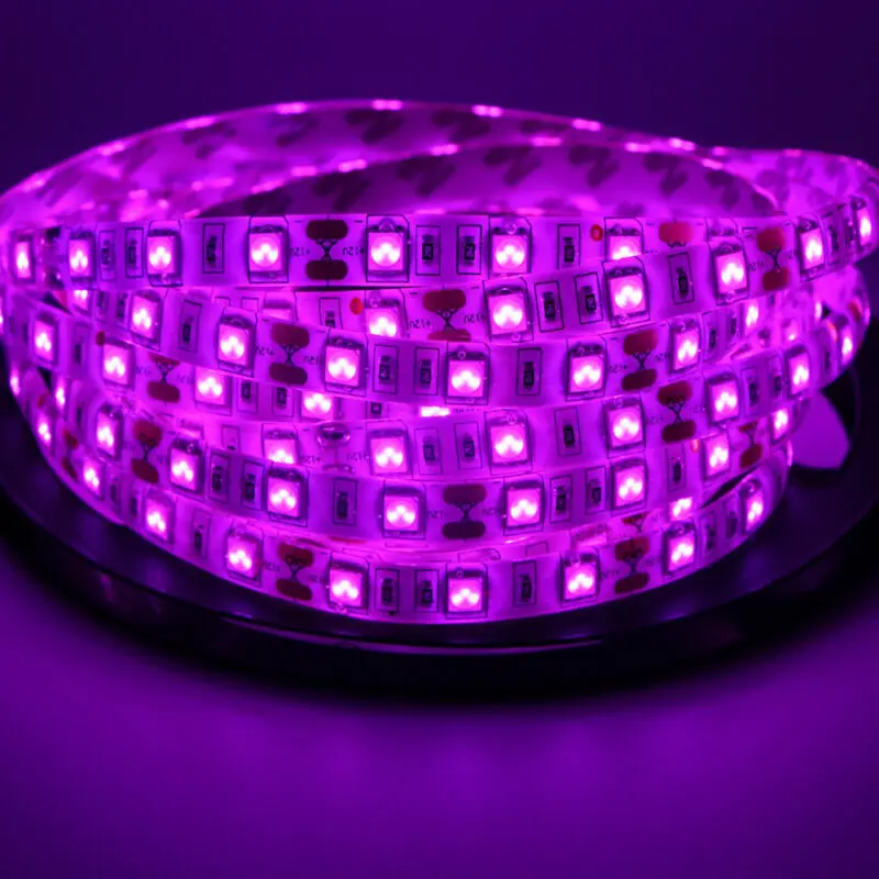 DC 12V SMD Chip 5050 Pink 60LEDs/m 300 LED strip light Waterproof and Non-waterproof flexible Tape rope stripe 1m-5m