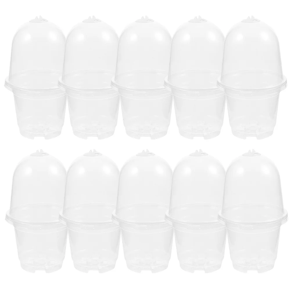 مجموعة واحدة من أواني الحضانة البلاستيكية الشفافة مع فتحات تصريف لزراعة الشتلات النضرة في الأماكن المغلقة والخارجية أوعية الحضانة الشفافة