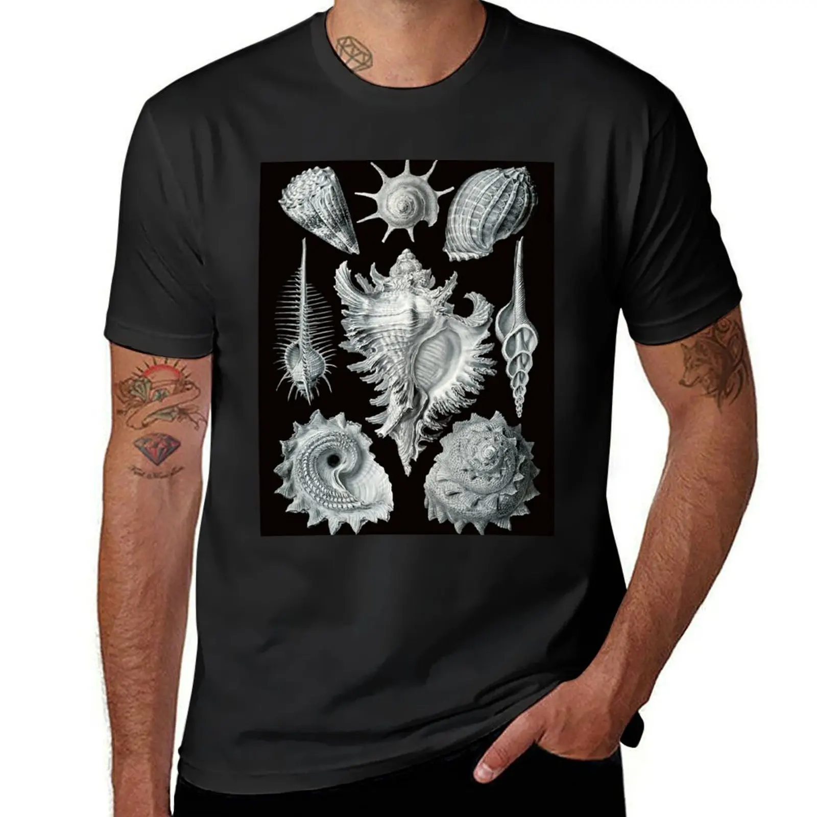 

Ernst Haeckel - Prosobranchia T-Shirt anime korean fashion boys animal print tops mens funny t shirts