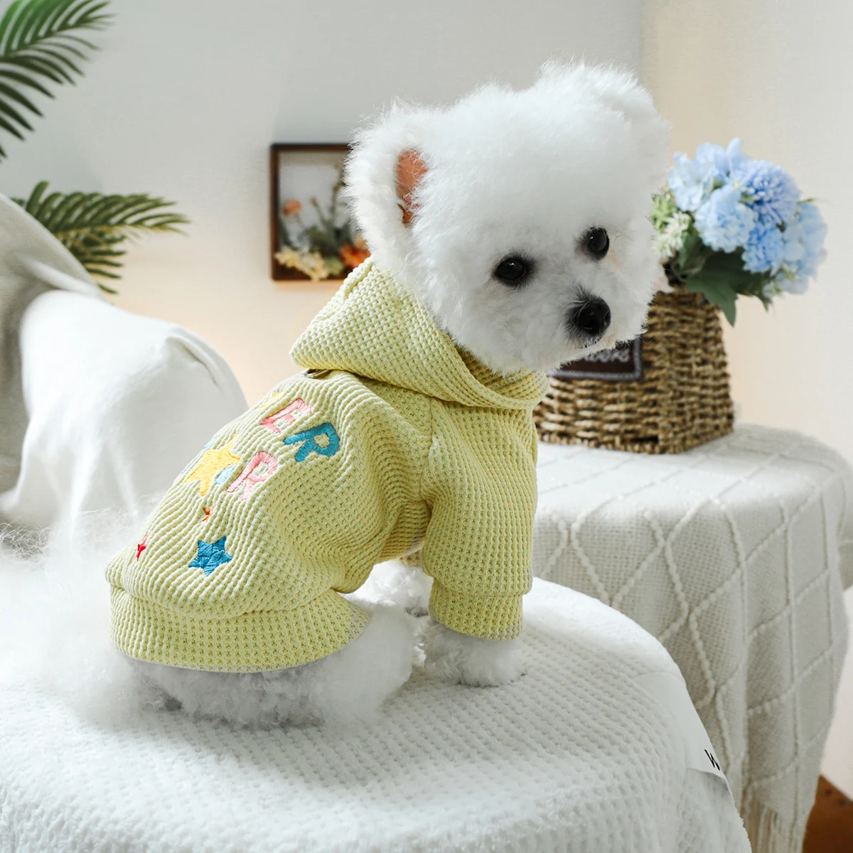 1PC pet clothing dog spring and autumn yellow color super star hat jacket suitable for small and medium -sized dogs