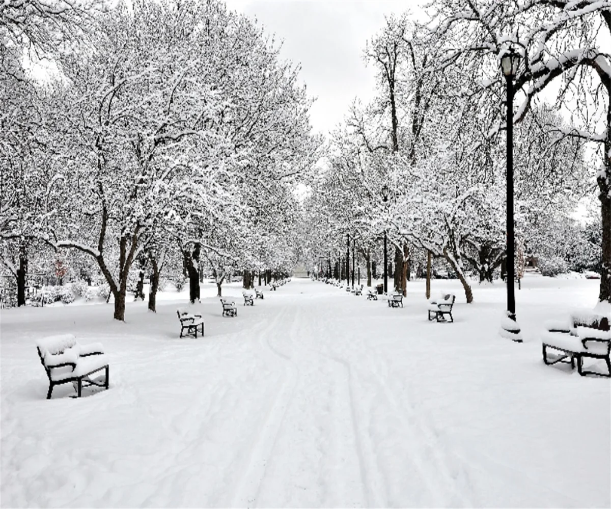 Snow Landscape 3D Wallpaper Custom Size White Frost Forest Mural City Corridor Tree Landscape Decorative Painting Forest murals