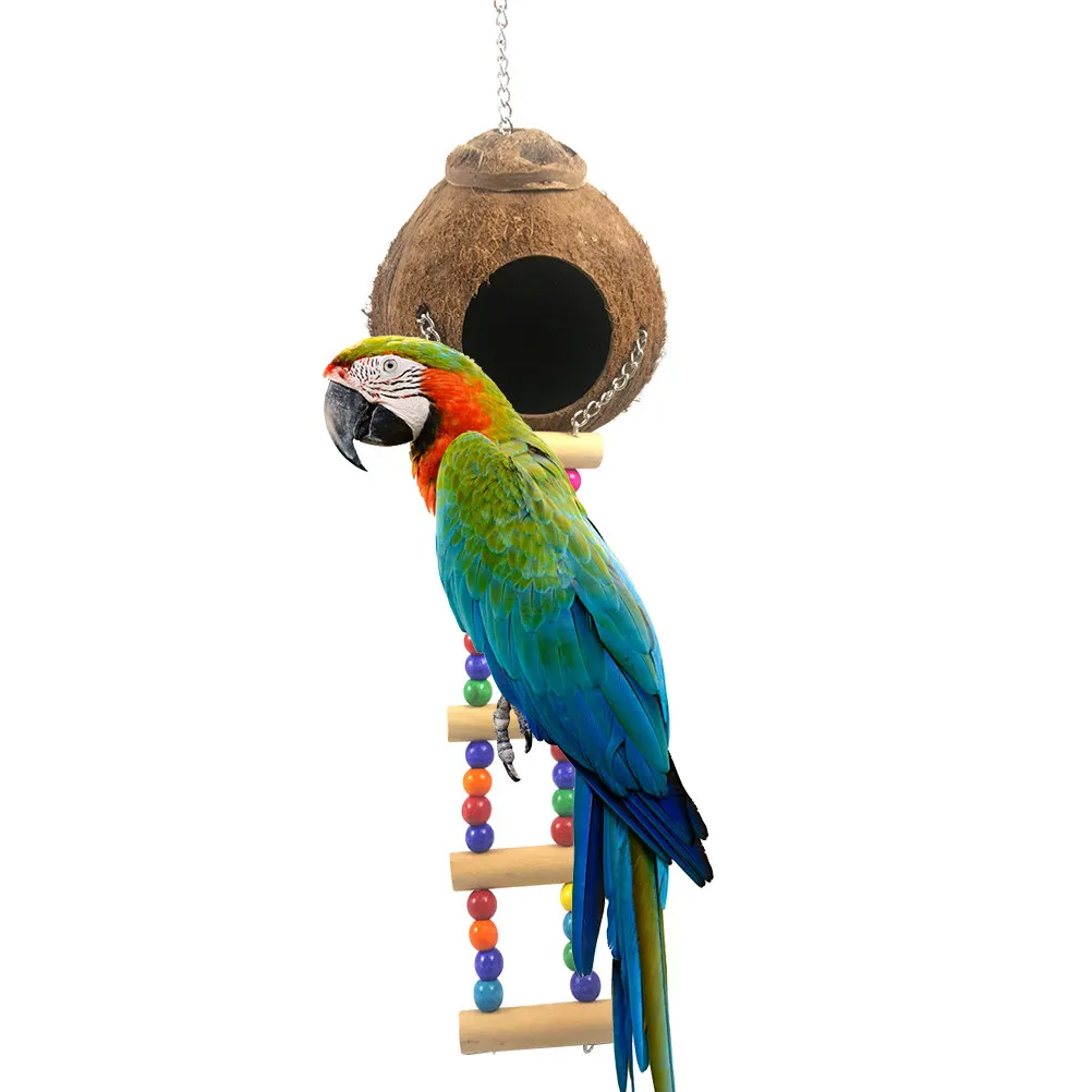 Natural Wooden Parrot Nest with Coconut Shell Ladder for Small Birds, Cockatiels, Lovebirds – Bird Playground