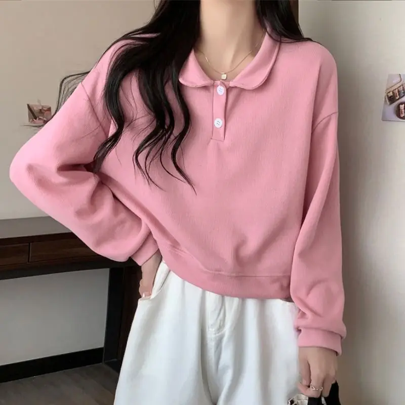 French Style New Petite Top for Women Polo Collar Stylish Loose Fit Short Hoodie Slimming Design Niche