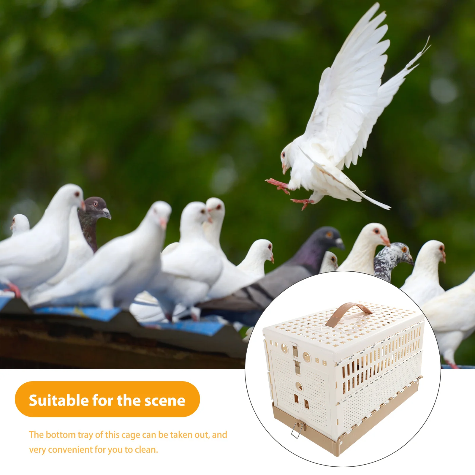 

Plastic Foldable Pigeon Cage Scratch Resistant Training Nest Removable Tray Easy Clean Portable Transportation Bird Cage