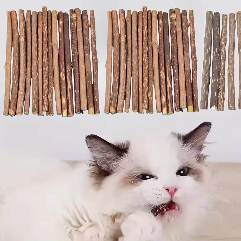 10Pcs/15Pcs/20Pcs Cat-Snack Polygonum Natural Polygonum Stick Molar Stick Thin Rod Polygonum Pet Supple
