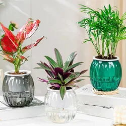 Self Watering Planter Pots Mini Pumpkin Shape Design Plastic Flowerpot Plant Pot Home Garden Modern Decorative Pot Supplies