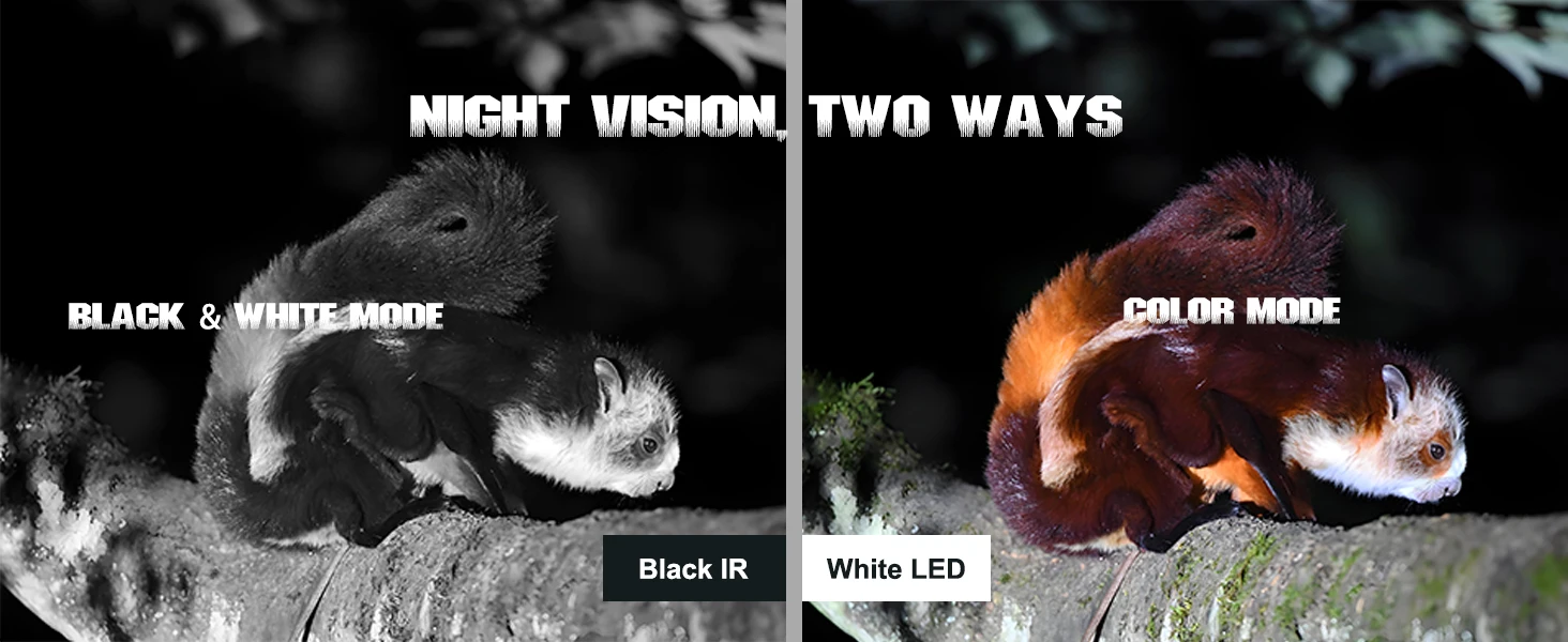 BolyGuard SG520-Plus Wildkamera 4K 48MP Dual-Blitz HD (Schwarz IR & Weiß LED) Jagd-Wildtierkamera Nachtsicht Outdoor-Beobachtungskamera – Detail 3