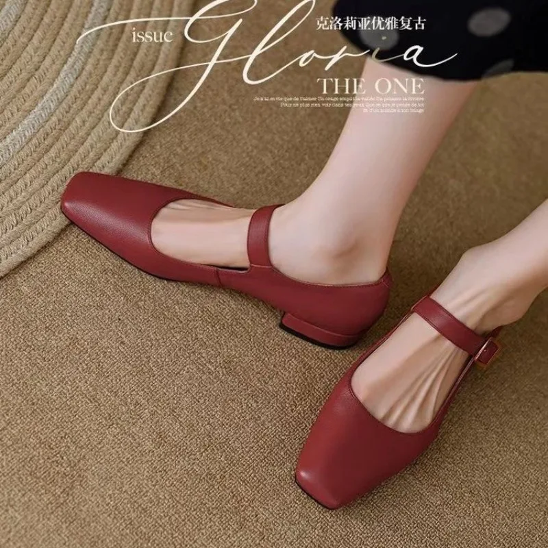 Women's Flats Vintage Mary Jane Shoes Square Toe Low Heels Dress Shoes Buckle Shoes for Female Spring Autumn 1238N