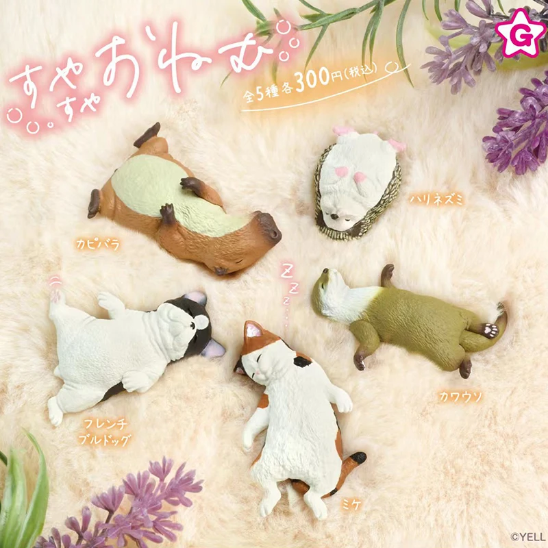 

Genuine Gacha Figure Small Scale Model Sleeping Animals Three Felinae Marmota Bobak Hedgehog Capybara Action Figure Model Toys