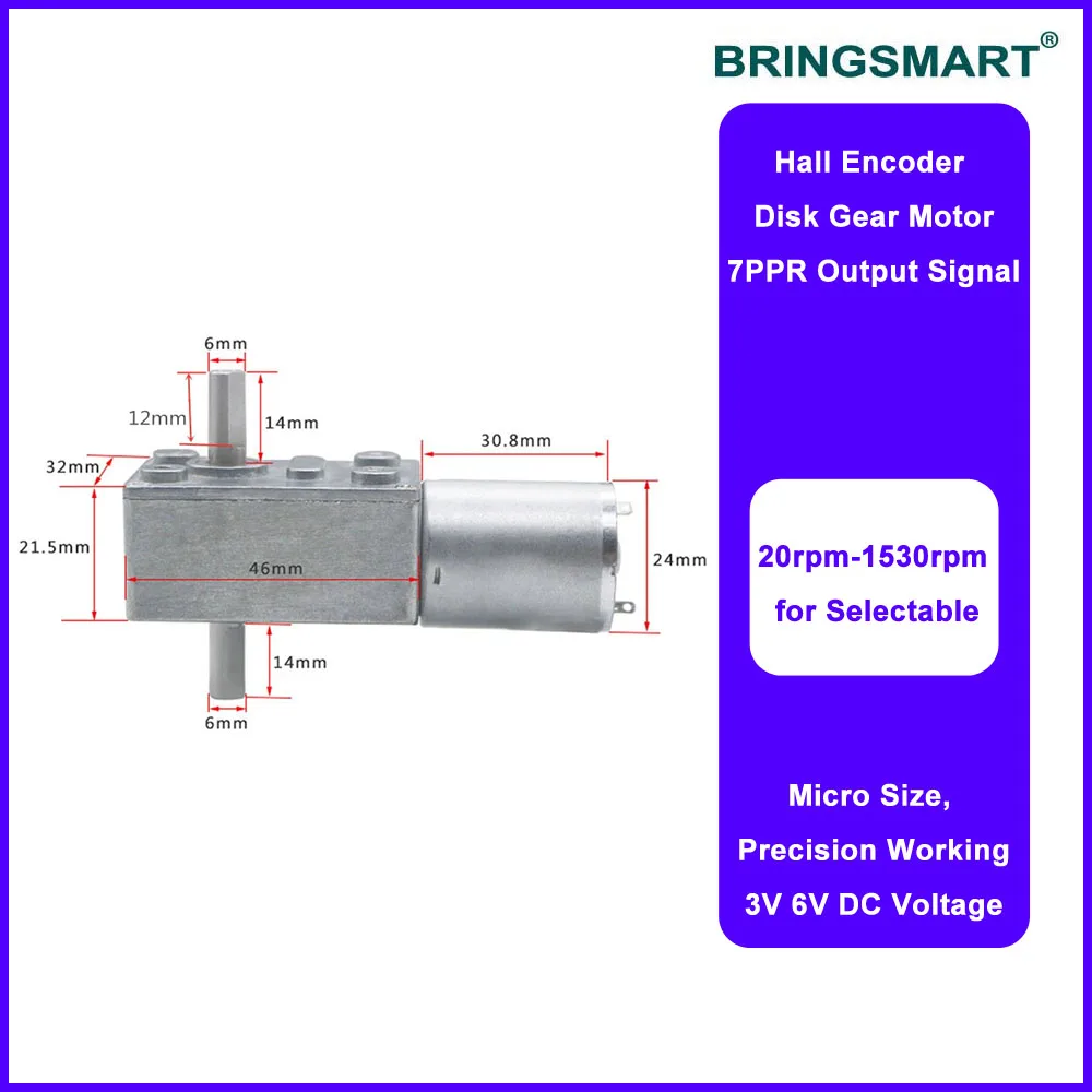 Bringsmart JGY-370S 12 Volt DC Worm Geared Motor Double Shaft Reversed Self-lock 6V Dual Output Shaft 24V Mini Reducer Motors