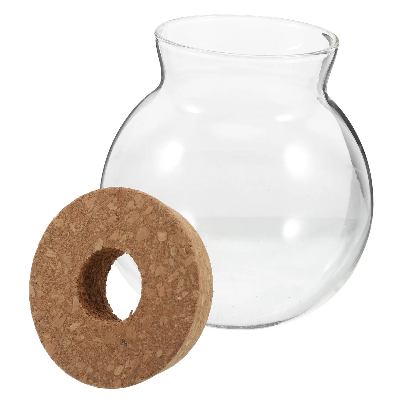 

Glass Terrarium Jar Transparent Round Eco-Bottle with Cork Lid for Hydroponic Plants Fish Vase Decor Desktop Mini Aquarium
