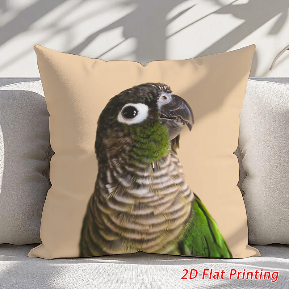 1pcs Short Plush Green-cheeked Conure Parrot Pillow Cover 18x18 Inch Double Sided Print Cushion Case