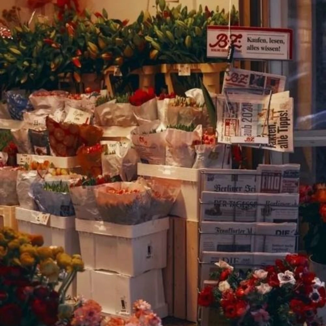 

Комплект передних/задних конических шестерен из закаленной стали GPM 12T/24T для TRAXXAS 1/18 4WD TRX-4M Ford Bronco, TRX-4M Land Rover Defender