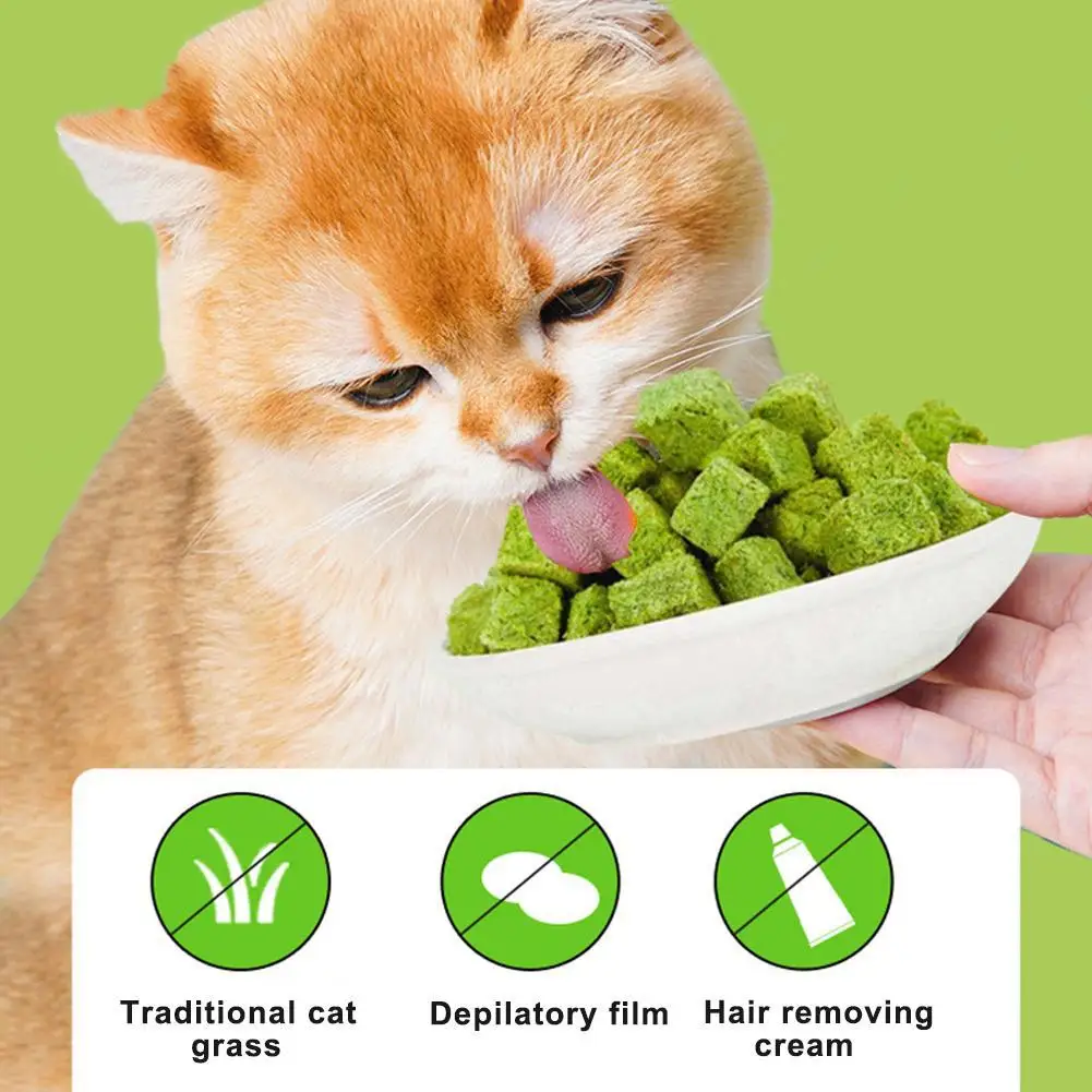 Catgrass Grain Freezedried Cat Snack Row Furry Hairball Pieces Catgrass Biscuits Catgrass Tablets Grinding Teeth