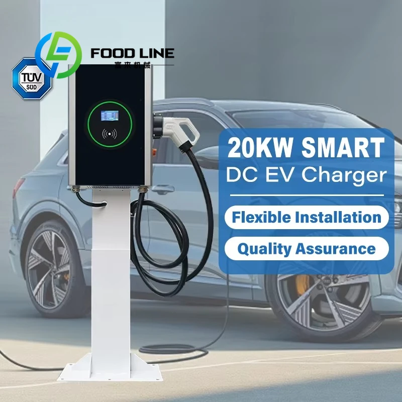 TUV Certified Wall Mounted CCS2 20kw DC EV Charger Pile Charging Station for Electric Vehicle customize